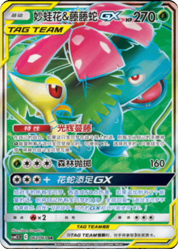 Venusaur & Snivy GX