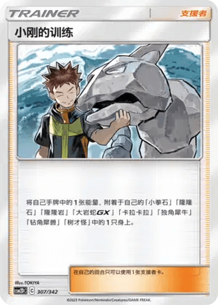 Brock's Training
