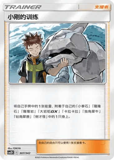 Brock's Training