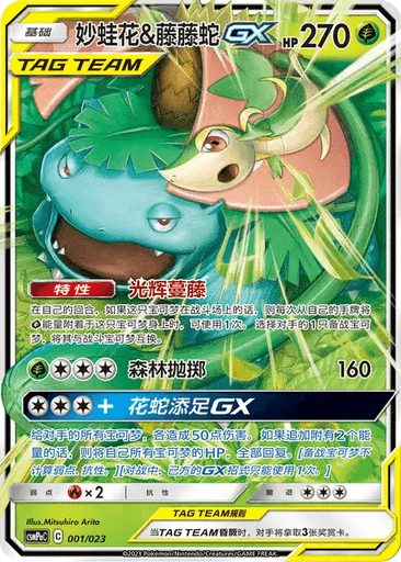Venusaur & Snivy GX