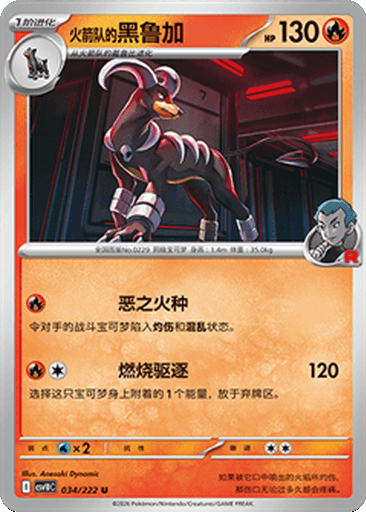 Team Rocket's Houndoom