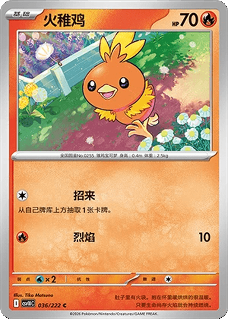 Torchic