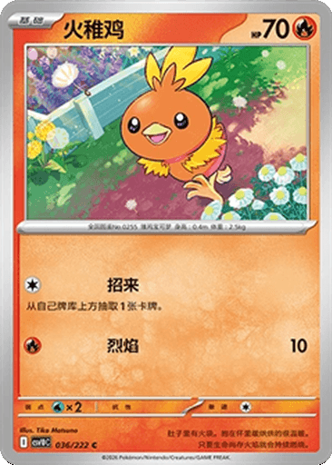 Torchic