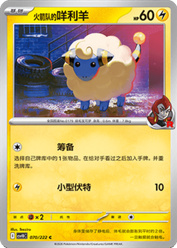 Team Rocket's Mareep