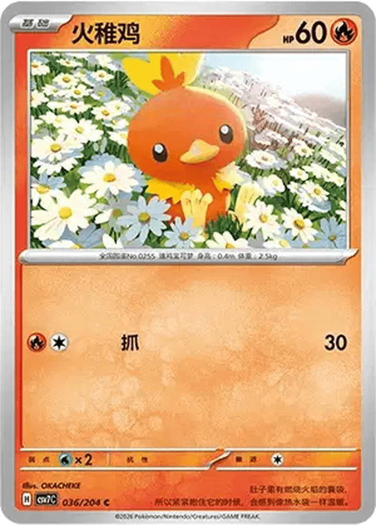 Torchic