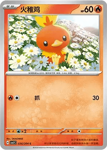 Torchic