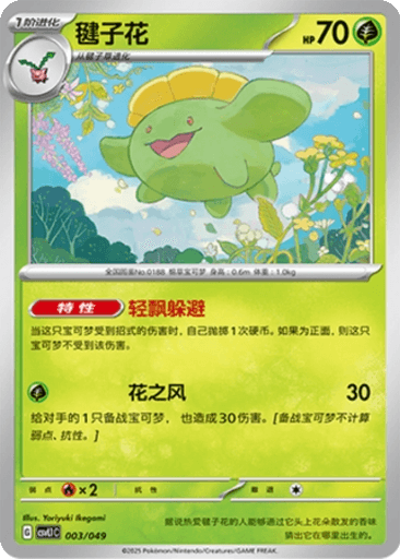 Skiploom