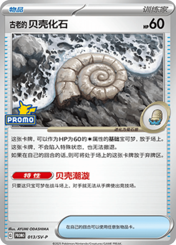 Antique Helix Fossil