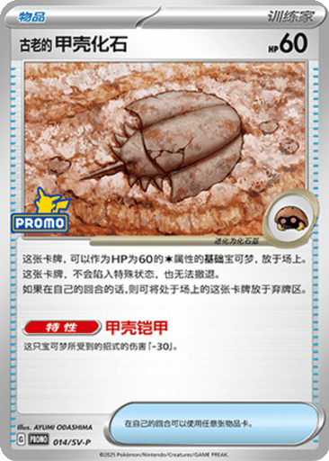 Antique Dome Fossil