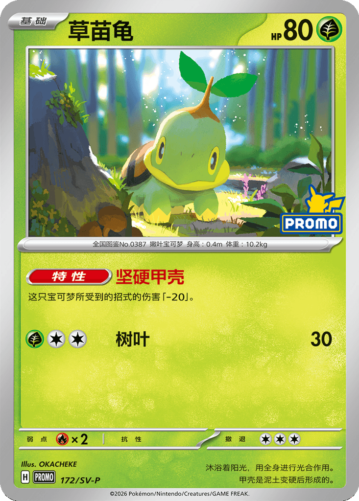 Turtwig