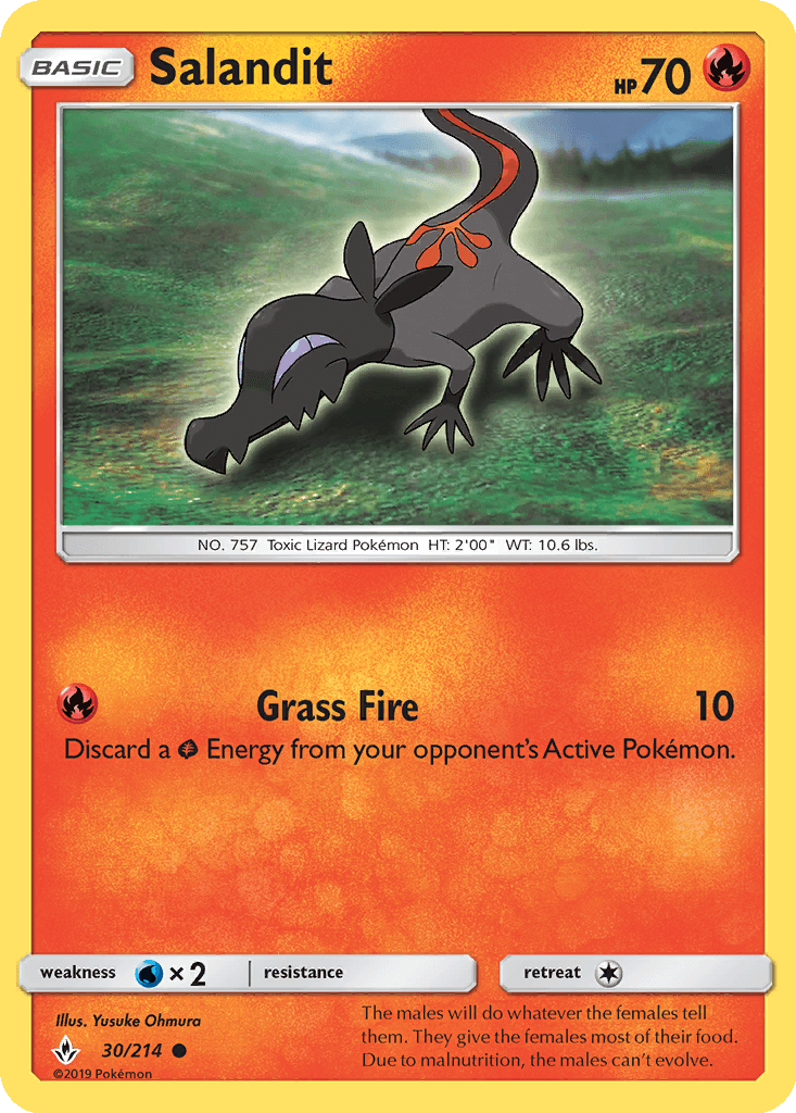 Salandit