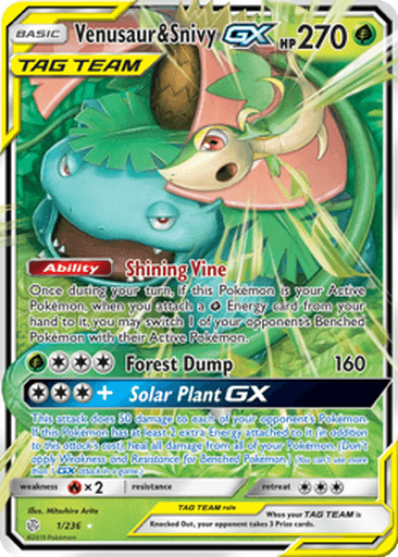 Venusaur & Snivy GX