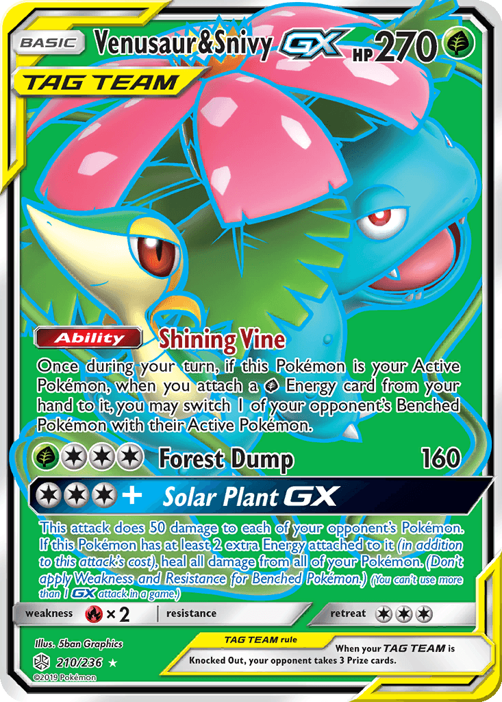Venusaur & Snivy GX