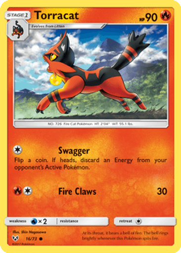 Torracat