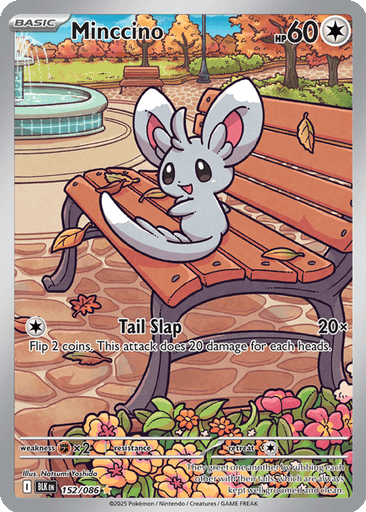 Minccino