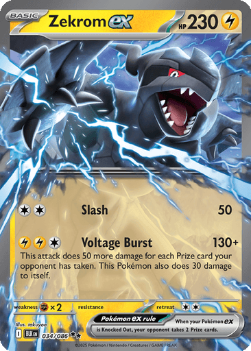 Zekrom ex