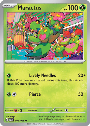 Maractus