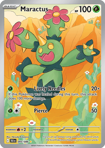 Maractus