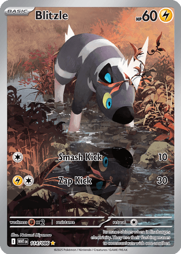 Blitzle