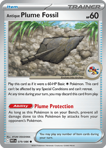 Antique Plume Fossil