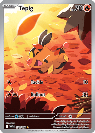 Tepig