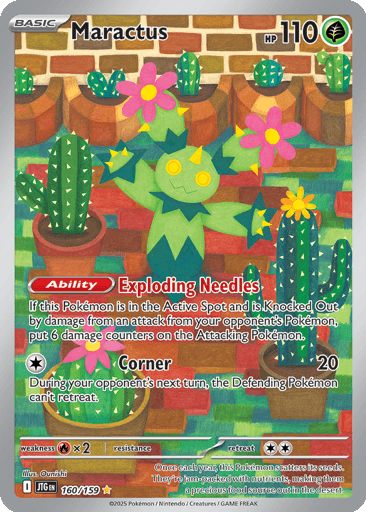Maractus