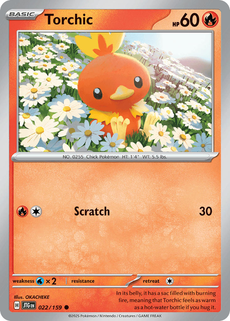 Torchic