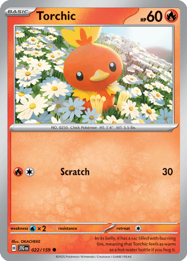Torchic