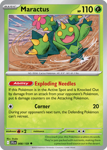 Maractus