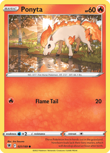 Ponyta