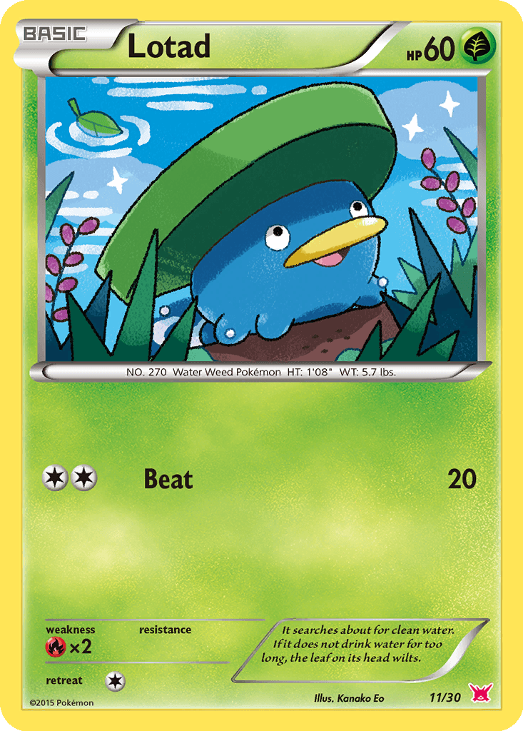 Lotad