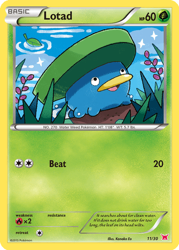 Lotad
