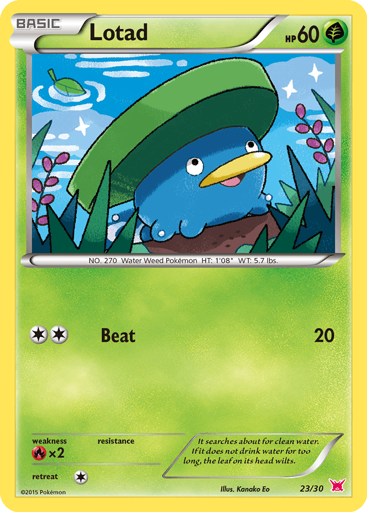 Lotad