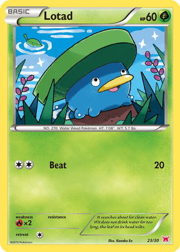 Lotad