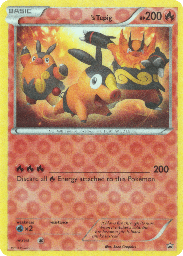 _____'s Tepig