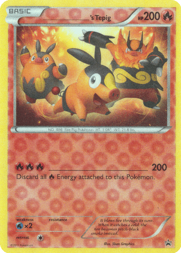 _____'s Tepig