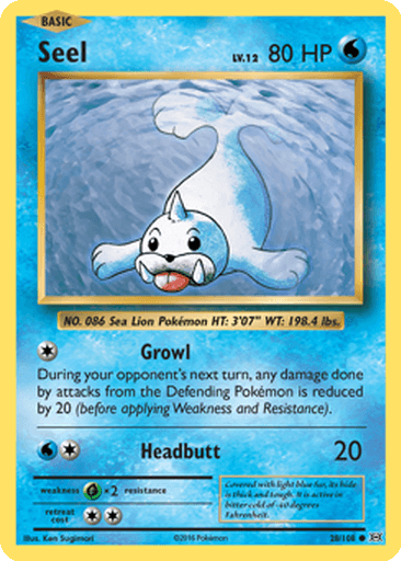 Seel