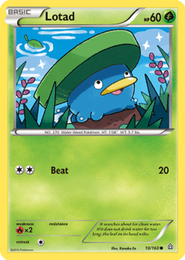 Lotad