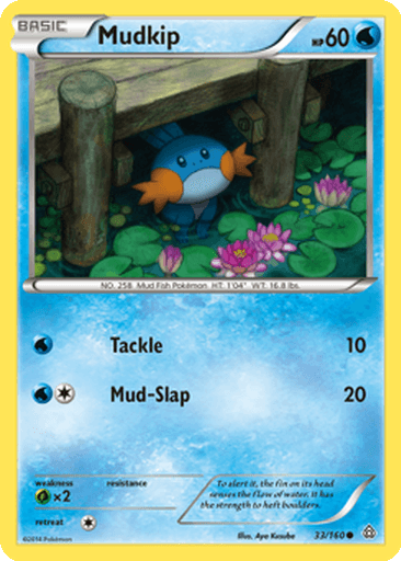Mudkip