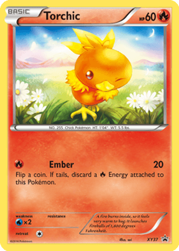 Torchic
