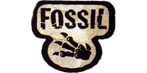 Fossil